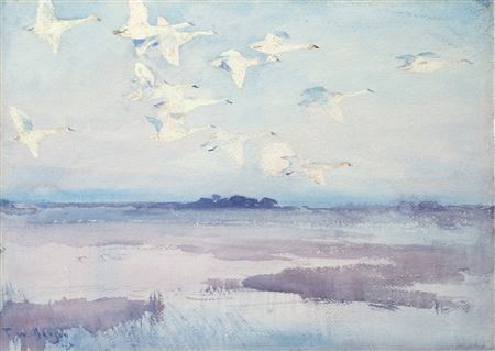 Swans in Flight