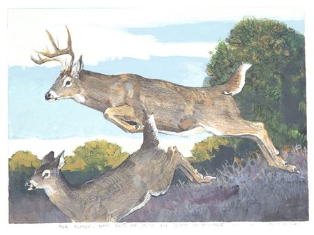 Bounding Buck and Doe