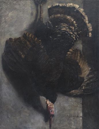 Wild Turkey