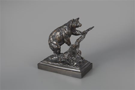 Bear on a Blow Down