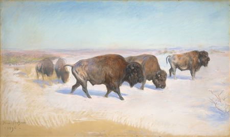 The Bison Emigration