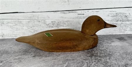 Duck Decoy