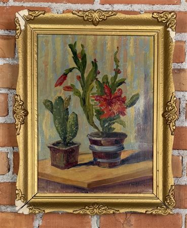 Flowering Cactus