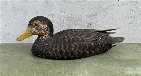 Duck decoy