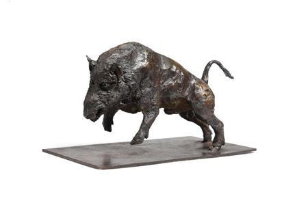 Running Boar