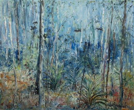 Black Cockatoos and Burrawong Ferns in Spotted Gum Forest
