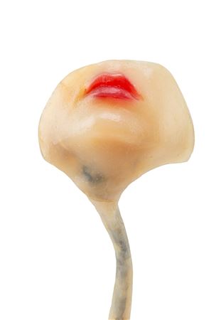 "Mouthpiece (Usta illuminowane)"