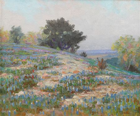 Texas Spring