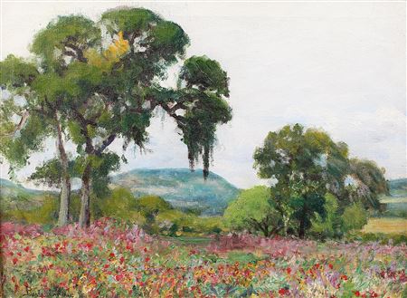 Wine Cup Field Texas