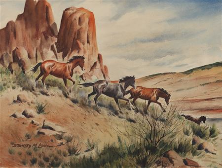 Mustangs