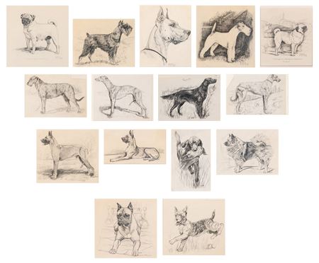 Sample artwork by Gladys Emerson Cook (1899 - 1976), known for dogs, cats, still life and seascape painting, commercial art - View similar artists and auction records