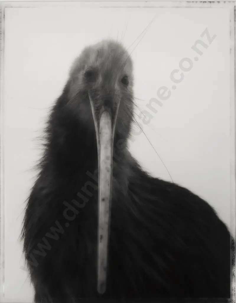 Sample artwork by Neil Dawson (Born 1948), known for sculpture - View similar artists and auction records