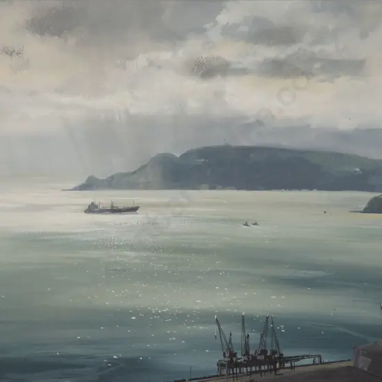 Silver Lining Wellington by Colin C Wynn - Auction record, sale price, and art valuation. Compare with similar artists and explore comparable artworks.