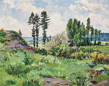 A summer landscape
