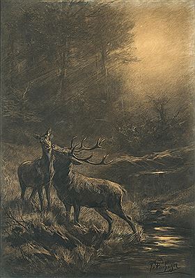 Stag and doe in forest clearing