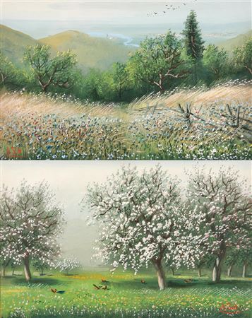 Orchard in bloom, view across Danube river