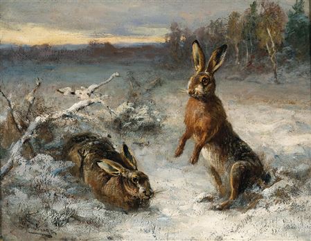 Two Hares in the Snow