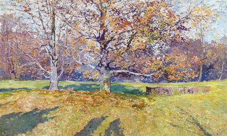 Chêne un jour d'automne ensoleillé