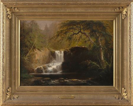 Forest interior with waterfall