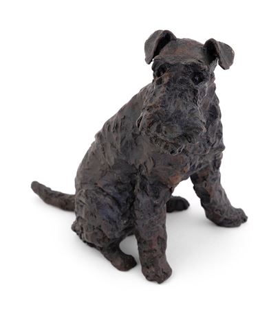 Airedale terrier.