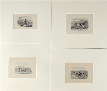 Four views of hounds.