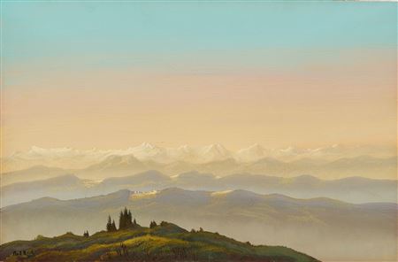 View of the sunlit Höchenschwand with the snow-capped Alps in the background.