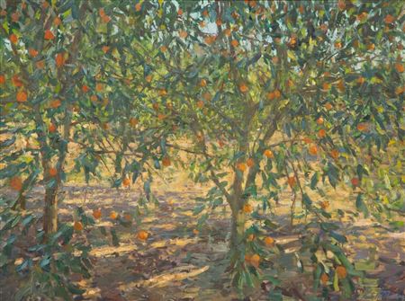 Orange Grove, Geneva, Florida, 2012