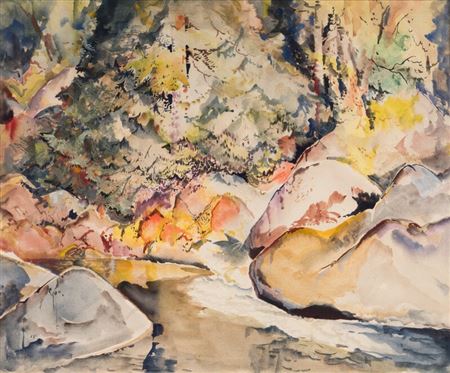 A River in the Smokies