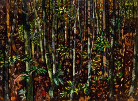 Spring in Deep Woods, California, 1976