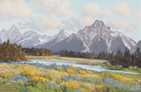 Spring Flowers Near Pilgrim Creek