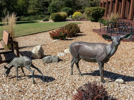 Springtime - Doe and Fawn, 1994