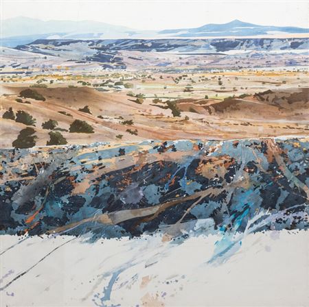 La Bajada Lichen #1 , 1978