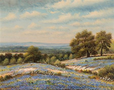 Texas Bluebonnets