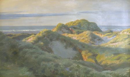 Dünen an der Küste von Skagen