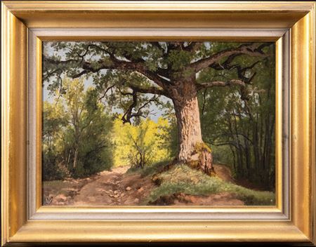 " The Old Oak "