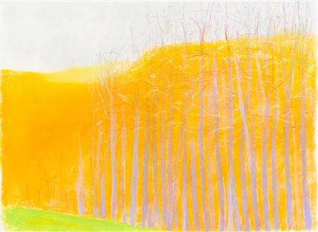 Grey Trees over Orange