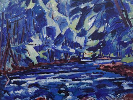 Rapids on the Orlice River