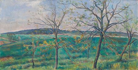 Sprouting Nut Trees