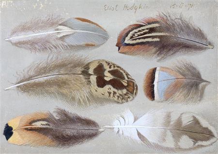 'SIX FEATHERS'