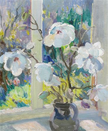Magnolia blossom