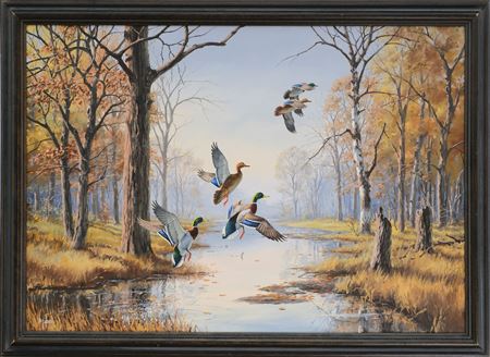 Mallards in timbered marsh
