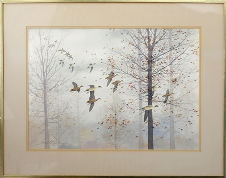 18 pintails dropping into flooded timber.