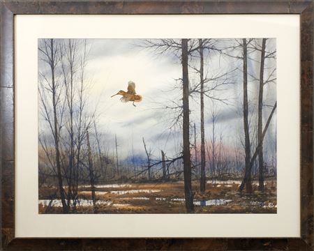 A lone flying woodcock
