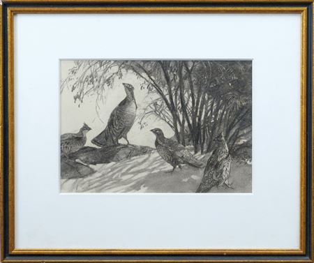 Four grouse under trees.