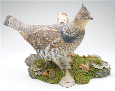 Birch Lake Ruffed Grouse