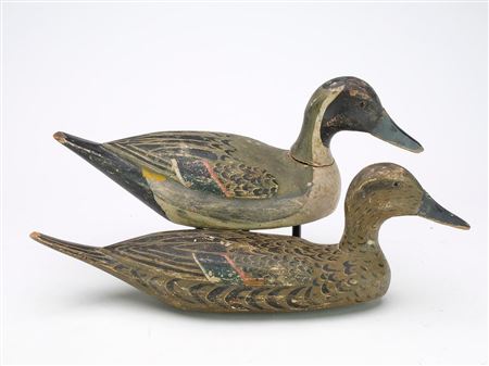 Pair of Pintails