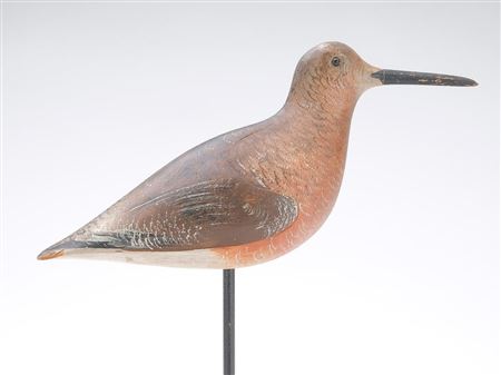 Dowitcher