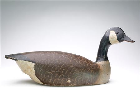 Canada Goose