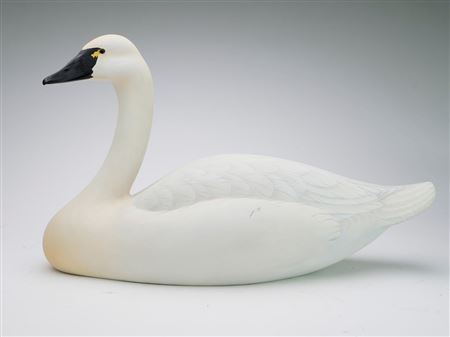Swan