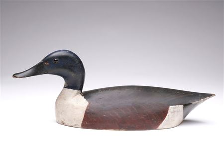 Shoveler
